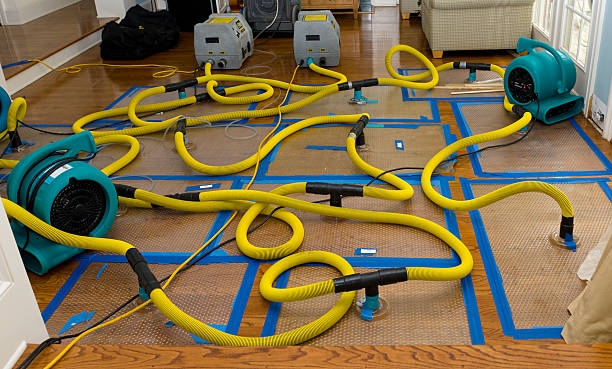 Professional Crawl Space Water Removal technician working in Grand Blanc, MI